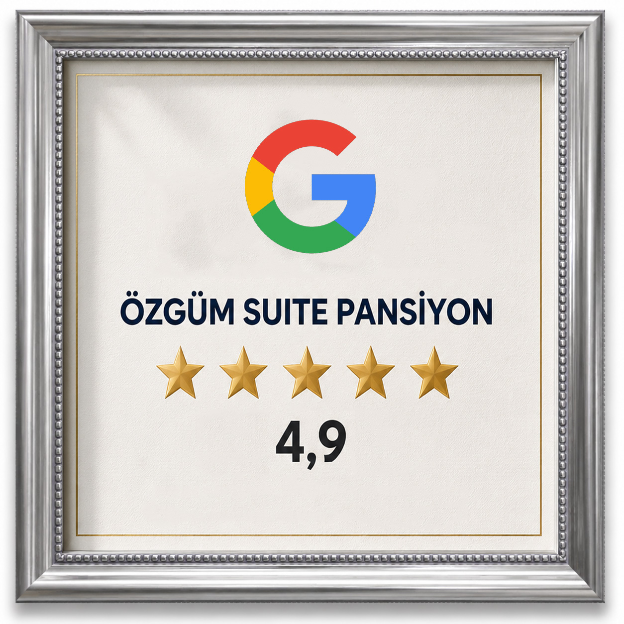 Google 4.9 Puan